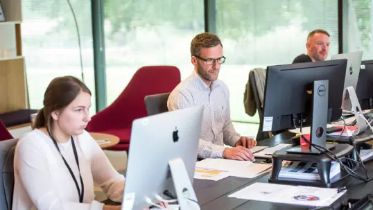 Public sector staff working at computers in a modern office